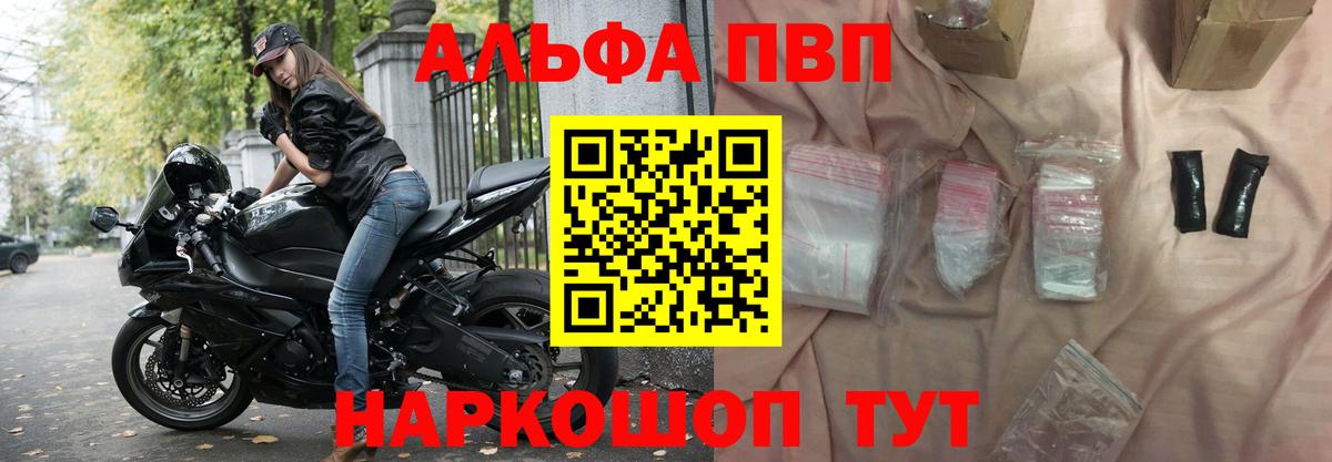 Альфа ПВП СК КРИС Черкесск