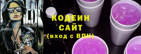 скорость Каменка