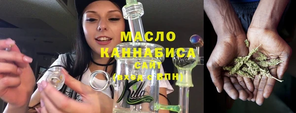 скорость Каменка