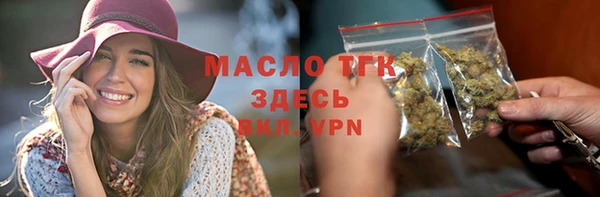 скорость Каменка