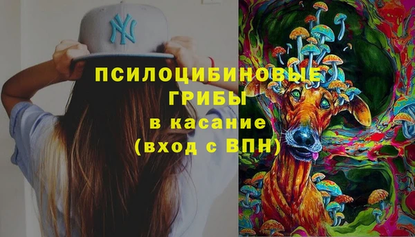 мдма Каменногорск