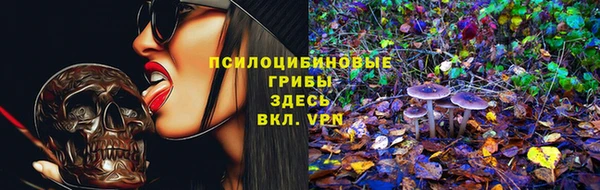 мдма Каменногорск