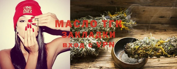 скорость Каменка