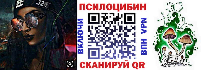 Псилоцибиновые грибы Cubensis  где купить наркоту  Черкесск 