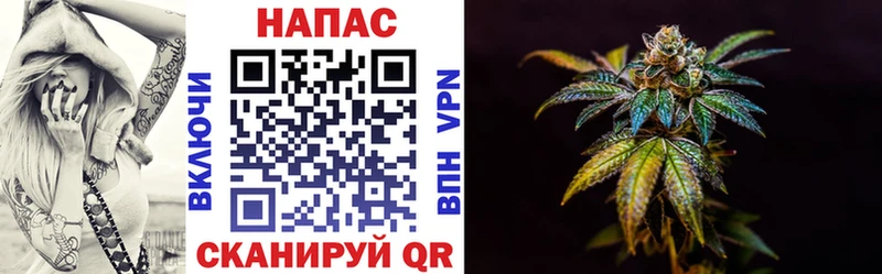 Конопля White Widow как найти наркотики Черкесск